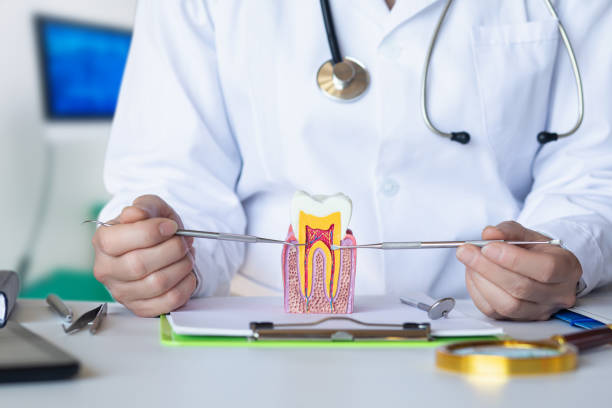 Best Same-Day Emergency Dentist in Dland, MI